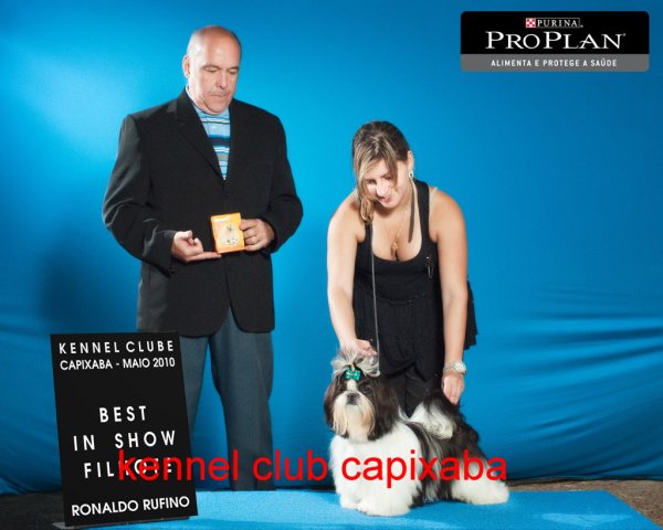 Clique sobre a foto para fechar